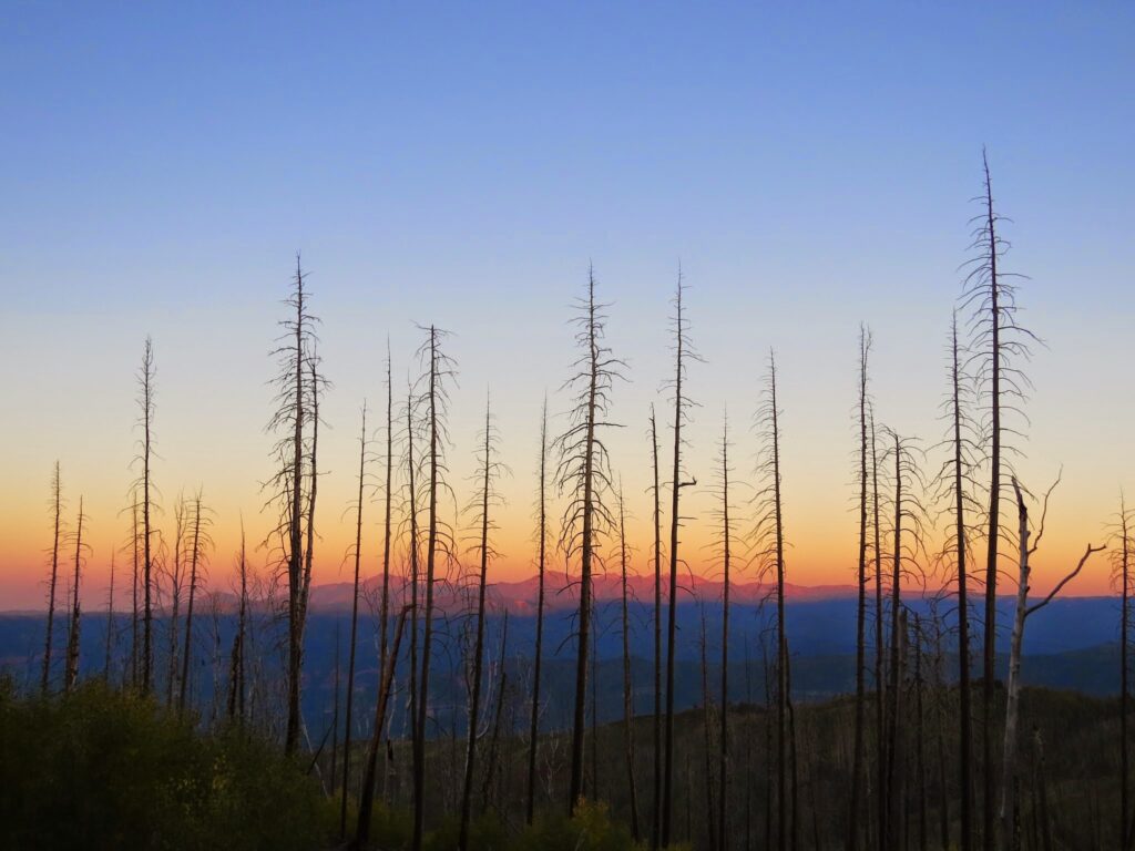 San Juan National Forest